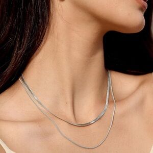2 pcs Simple minimalist Stainless Steel Flat Snake Necklace